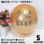 ジェンダーリビールバ