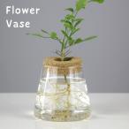  ваза цветок бутылка цветок основа ваза для цветов оборудование орнамент один колесо .. пробка крышка настольный класть type стеклянный прозрачный каркас предметы интерьера смешанные товары прозрачный вмятина выпуклость треугольник треугольник 