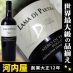 カンティーナ ディオメーデ ラーマ ディ ピエトラ  2015  赤ワイン 750ml 13度 正規品 (LAMA DI PIETRA)  ワイン イタリア カンパーニャ 赤ワイン