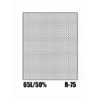  Radical экран R-75