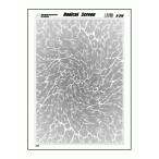  Radical экран R-310