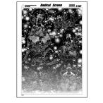  Radical экран R-402