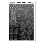  Radical экран R-403