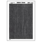  Radical экран R-405W