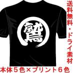 プロ野球応援ドライTシャツ(カラー5色)  漢字おもしろTシャツ 鷲Tシャツ 楽天イーグルス 一文字バックプリント 送料無料 河内國製作所