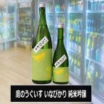商品画像2