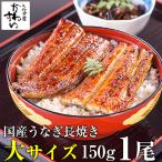 お中元 うなぎ 蒲焼き 国産 大サイズ150g 1尾 うなぎ屋かわすい ウナギ 鰻 グルメ 食べ物 冷凍 ギフト 誕生日 土用丑 御中元 爆買
