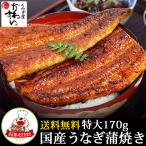 プレミアム会員2680円 送料無料 国産 特大 うなぎ 蒲焼き 170g-199g×1本 無投薬 お歳暮 ギフト #元気いただきますプロジェクト