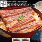 ギフト セット 特大うなぎ2本 国産 うなぎ 蒲焼き 鰻 ウナギ プレゼント 蒲焼 送料無料