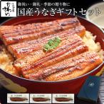 ギフト セット うなぎ 蒲焼き 国産 特大うなぎ3尾 ウナギ 鰻 蒲焼 誕生日