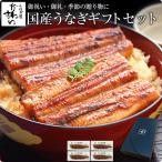 ギフト セット うなぎ 蒲焼き 国産 特大うなぎ4尾 ウナギ 鰻 蒲焼 誕生日