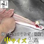 生のうなぎ 捌いた国産うなぎ 中サイズ 2尾 開き ひらき 鰻 業務用 BBQ