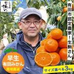 ショッピング訳有 サイズ選べる！みかんの本場・有 田から産直 生駒さんの有田みか ん 早生 予約販売 11月下旬以降 発送 みかん 和歌山 ミカン 蜜柑 フルーツ 3kg 訳あり 爆買