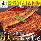 ショッピングうなぎ タイムセール うなぎ 蒲焼き 国産 特大サイズ170g 4尾 ウナギ 鰻 送料無料 母の日 ギフト