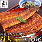 うなぎ 蒲焼き 国産 特大サイズ170g 5尾 ウナギ 鰻 送料無料 ギフト