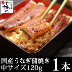 送料無料 国産うなぎ蒲焼き120g×1本 鰻 ウナギ ギフト プレゼント 蒲焼