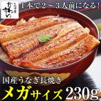 ショッピング沖縄 限定300本 国産 うなぎ 蒲焼き メガサイズ 230g×1本 ウナギ 鰻 ギフト