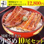 数量限定 国産 うなぎ 蒲焼き 10本 訳あり 小さめサイズ タイムセール ウナギ