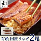 国産 うなぎ 長蒲焼 2尾セット 鰻 ウナギ プレゼント
