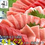 本マグロ トロ 赤身セット500g 紀州串本産 養殖 まぐろ 鮪 刺身 柵 冷凍 送料無料 本まぐろ