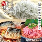 ショッピング詰め合わせ 海鮮詰め合わせ 鮮 味わい詰め合わせ うなぎ屋かわすい ネギトロ しらす さば 海鮮 グルメ 海の幸  内祝 お返し 誕生日 プレゼント ギフト お歳暮 爆買