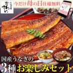 父の日 ギフト うなぎ 蒲焼き 国産 ウナギ 3種 ウナギ 鰻 蒲焼 ギフト 内祝  誕生日 早割