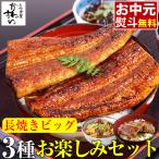 お中元 うなぎ 蒲焼き 国産 送料無料 うなぎ屋かわすい 3種 ビッグ 夏ギフト グルメ ウナギ 鰻 蒲焼 ひつまぶし 土用丑 ギフト 内祝 お返し 誕生日 御中元 爆買