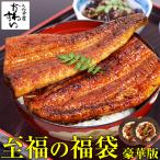 うなぎ 蒲焼き 国産 至福の福袋 送料無料 鰻 ウナギ