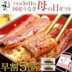 ＼1000円OFFクーポン使えます／早割 母の日 ギフト うなぎ 蒲焼き 国産 ウナギ 長焼き 120g 2尾 ウナギ 鰻 内祝 誕生日 2024