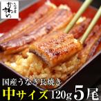 5尾セット 国産 うなぎ 蒲焼き 120g 鰻 ギフト 蒲焼 うなぎ蒲焼 送料無料 ギフト