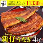 早割キャンペーン 新仔 うなぎ 蒲焼き 国産 大サイズ150g 4尾 うなぎ屋かわすい ウナギ 鰻 秋グルメ 誕生日 プレゼント ギフト 冷凍 食べ物 旬 送料無料