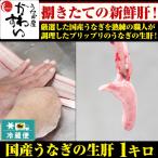 国産うなぎの生肝1キロ 1kg 鰻 肝 ウナギ 冷蔵便