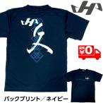 ハタケヤマ Tシャツ 半袖 バックプリント 野球 ウェア トレーニングウェア HF-Q21N ネイビー メール便送料無料