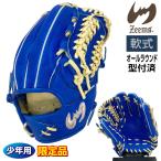 ji-ms для софтбола Junior перчатка подросток для круговой три person родители горячая вода .. type установка settled бейсбол ограниченный товар большой 16DJN5 правый бросание голубой × Camel 