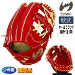 ジームス 軟式 ジュニア グローブ 少年用 オールラウンド 三方親 湯もみ型付け済 野球 限定品 大型 20DJN5 右投げ レッド×キャメル×ホワイト糸