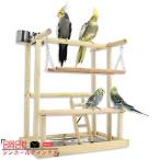  птица жердочка птица развлечение место bird подставка маленькая птица осень тысяч лестница посуда вода контейнер клетка для птиц подставка tray имеется клетка 