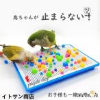  птица. игрушка длиннохвостый попугай игрушка bird игрушка птица маленькая птица -тактный отсутствует аннулирование птица для игрушка пластик o черепаха длиннохвостый попугай se регулирование длиннохвостый попугай ruligosi кнопка длиннохвостый попугай uro монета ko