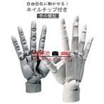  искривление .... подставка имеется рука модель искусственные ногти имеется 1/1 левый рука правый рука R L передвижной тип Vaio nik палец .. аниме te солнечный для элемент body изобразительное искусство фигурка 