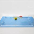 ショッピング写真 写真撮影用トレー 透明な浅瀬の水槽 アクリルディスプレイケース ショーケース 化粧品広告撮影用小道具