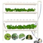  гидропонная культура комплект .... культивирование комплект клубника овощи культивирование комплект салон огород гидропонная культура комплект посадочная машина 36 дыра (36 дыра )