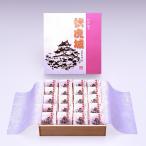 【販売休止中】梅干し 和歌山 紀州南高梅 伏虎城20粒入 塩分9％ 贈答 ギフト 母の日 父の日 お中元 敬老の日 お歳暮