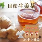 しょうが紅茶 お徳用 120Ｐ入り 「生姜茶」 ティーパックタイプ 6袋セット(2g×20包) ティーバッグ