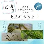 (3 вид )bio3* комплект вилки, ложки, палочек (me Dakar *mi Nami пресноводная креветка *matsumo)[ организм ]