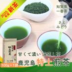 新茶 2024年産 知覧茶 深蒸し煎茶「鹿児島特上煎茶」100g さえみどり品種 高級 茶葉 老舗 日本茶 水出し可 メール便は送料無料