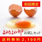 [..... яйцо ]. поэтому . комплект MS размер 25 шт + повреждение возмещение 5 шт включая бесплатная доставка 2,100 иен Miyazaki префектура столица замок город производство яйцо 