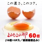  подарок соответствует бесплатная доставка Miyazaki префектура столица замок производство [..... яйцо ]55 шт + повреждение возмещение 5 штук входит 