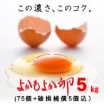 送料無料　宮崎県都城産「よかもよか卵」5kg(75個)＋破損補償５個入り