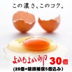 ギフト対応　送料無料　宮崎県都城産「よかもよか卵」25個＋破損補償5個入り　