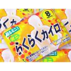 楽々らくらく 貼る 使い捨て ミニカイロ 1袋10個入x10袋(100個)/卸/送料無料