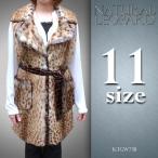 レオパードキャット